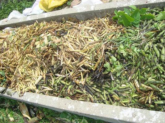 Produção de adubo orgânico. Foto Flickr @Gobierno Municipal de Piñas Produção de adubo orgânico
