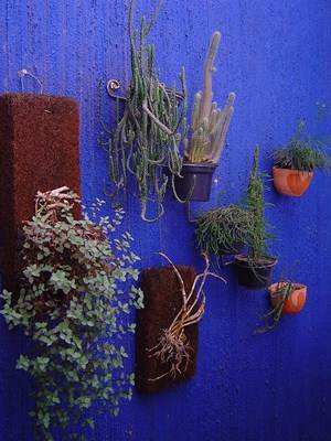 Jardim vertical, com adubos orgânicos. Foto Flickr @Joana Rangel Jardim vertical, com adubos orgânicos