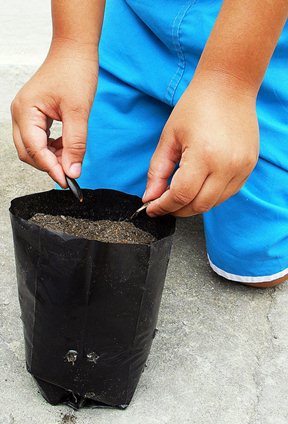 O hábito de plantar e preservar o meio ambiente é tratado como prioridades nas escolas infantis. Foto Flickr @Imagens Evangélicas O hábito de plantar e preservar o meio ambiente é tratado como prioridades nas escolas infantis