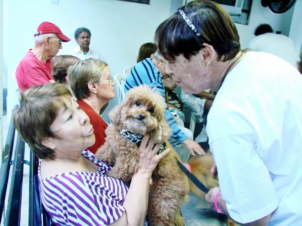 Algumas clínicas geriátricas realizam terapia com animais Algumas clínicas geriátricas realizam terapia com animais