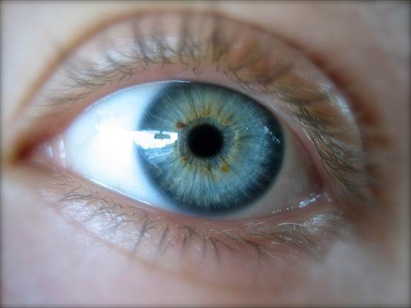Íris é a parte colorida dos olhos e a pupila é a parte preta. Foto Flickr @brunosan Íris é a parte colorida dos olhos e a pupila é a parte preta