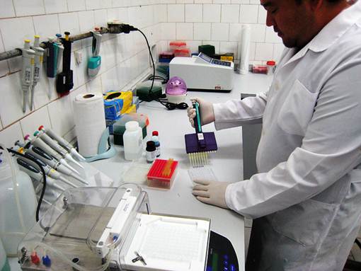 Produção de medicamentos em laboratório. Foto Flickr @Agriculturasp Produção de medicamentos em laboratório