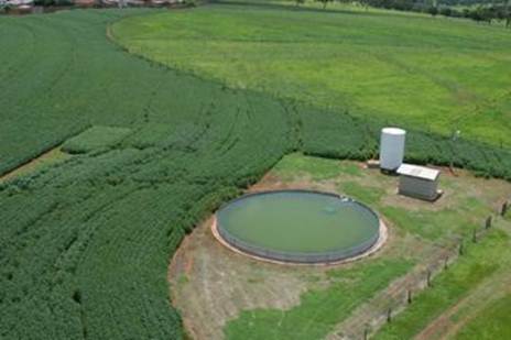 FAZU Uberaba - Visão aérea do campo de produção agrícola - soja e milho - Foto: Divulgação