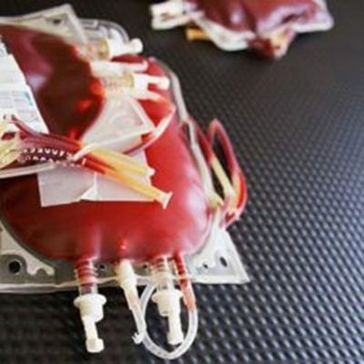 Bolsa de sangue após a coleta - Hemocentro de Uberaba